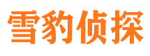 静海外遇出轨调查取证